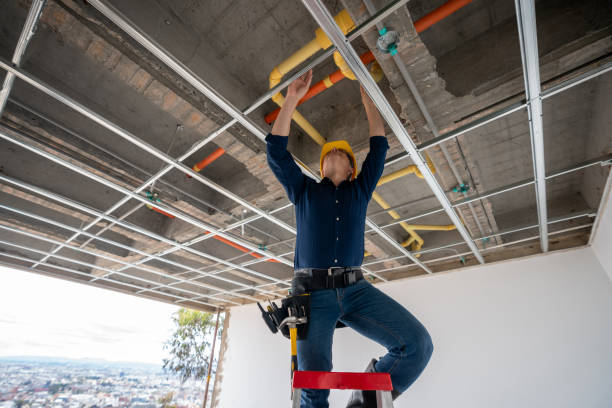 Best Residential Plumbing Services  in Sylva, NC